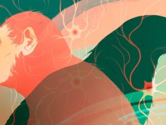 Intelligence on Earth Evolved Independently at Least Twice