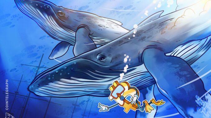 Bitcoin Whale Shifts to ETH With $295 Million Long Position