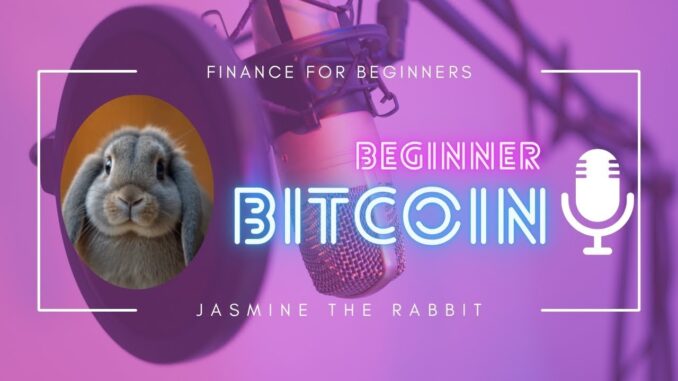 Bitcoin for Beginners: Simple Guide to Start Now!